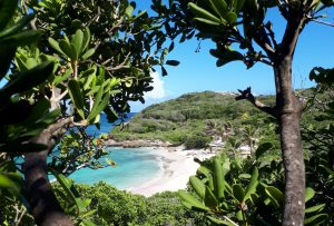 Plage naturiste de Tarare en Guadeloupe à 5 min à pied du Gîte Cannelle