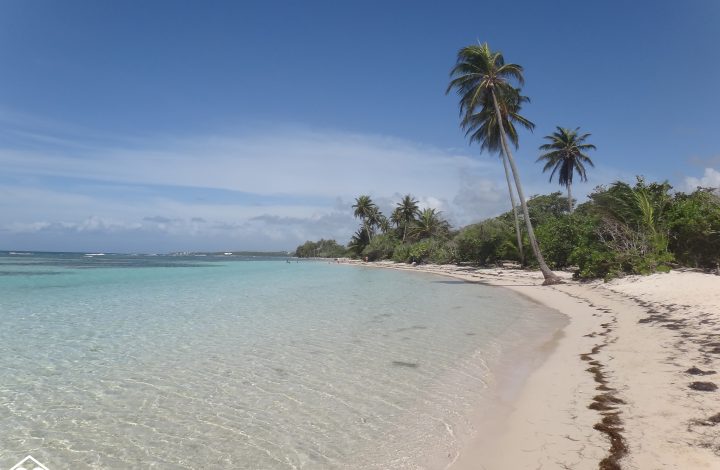 Quelle est la meilleure saison pour venir en Guadeloupe?